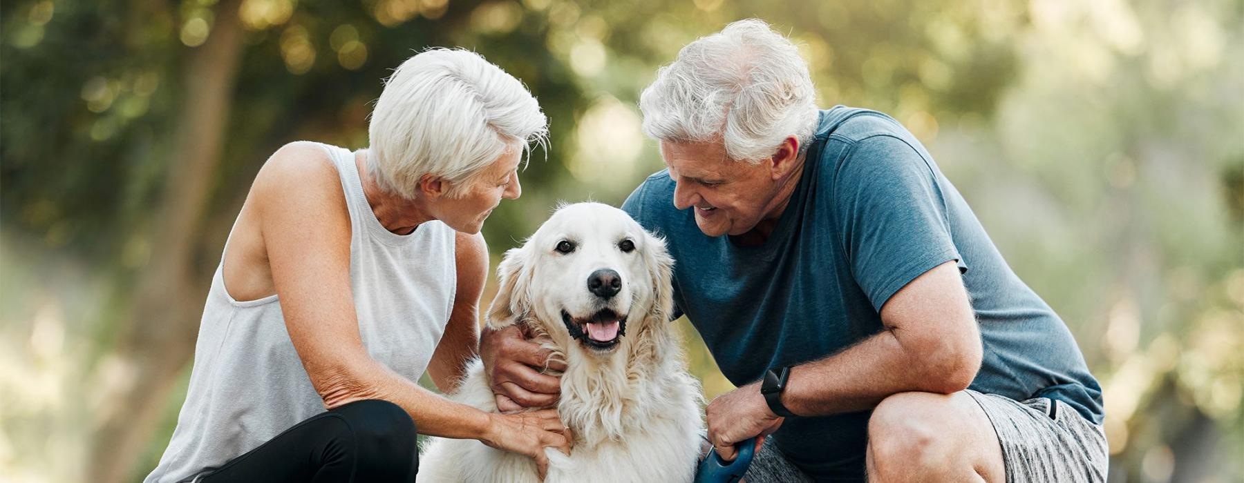 a man and woman petting a dog